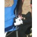 Universal Umbrella Holder (WORKS WITH STRAIGHT UMBRELLA POLE UP TO 1" DIAMETER)  Large adaptor sold separately